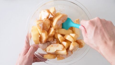 Mixing sliced Fuji apples with sugar and spice mixture for apple pie.