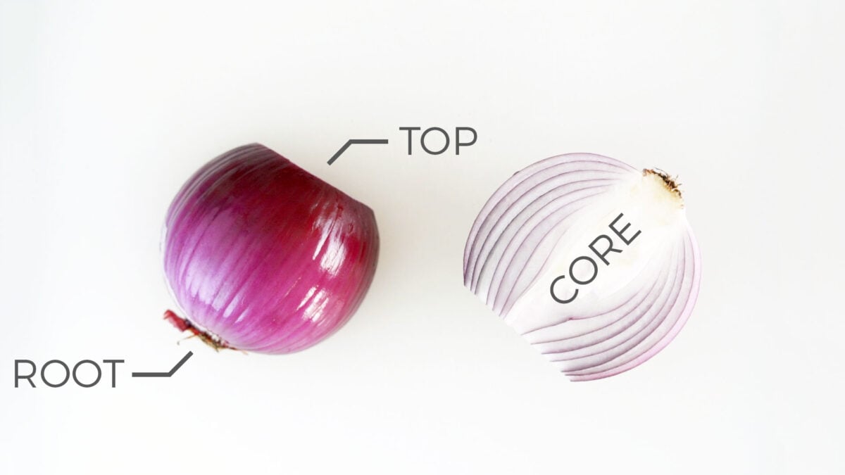 Anatomy of an onion.