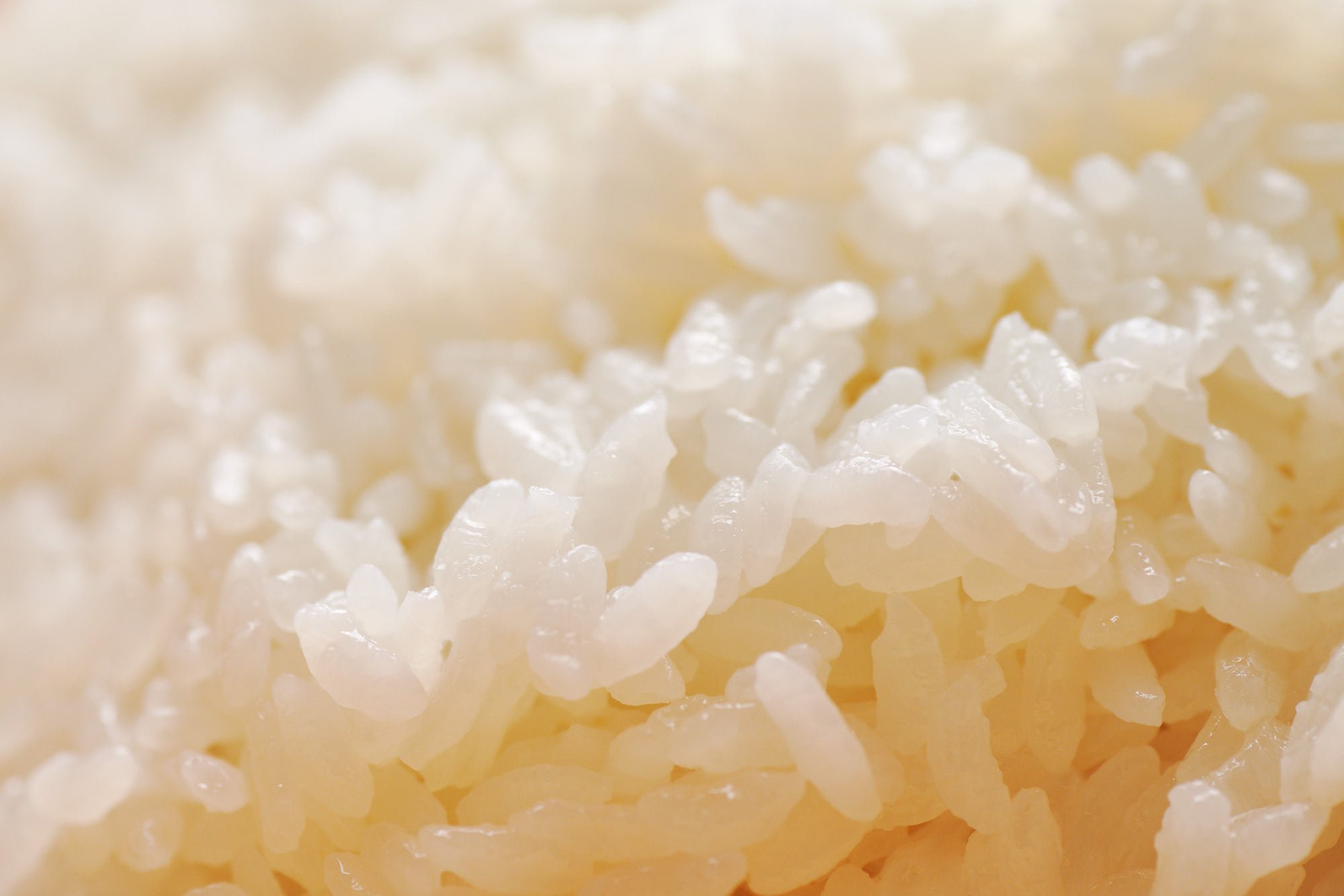 Good sushi rice should have distinct whole grains that are glossy and sticky.