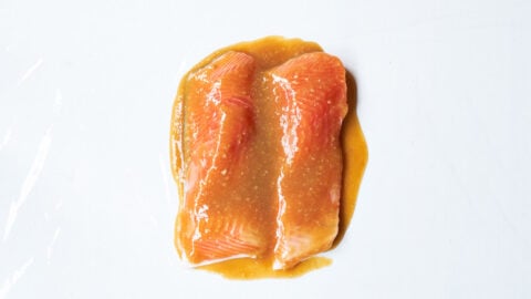 Salmon fillets covered in miso marinade for making the best miso salmon.