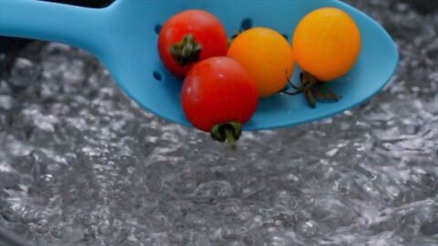 Dropping cherry tomatoes into boiling water to peel them.