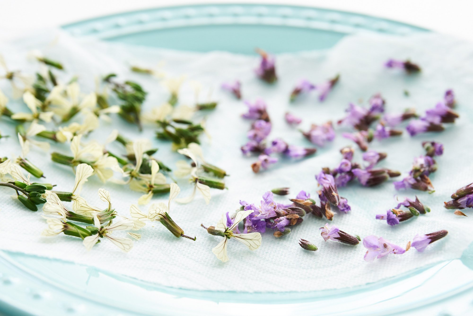 Edible arugula and sage blossoms on a blue plate for garnishing spring pasta.