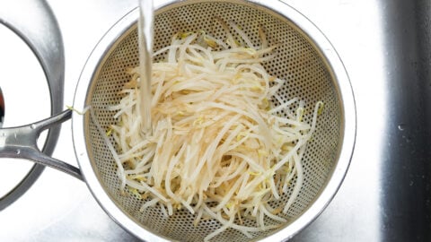 Drain and rinse the blanched bean sprouts to cool them off enough to handle.