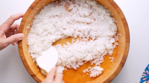 Folding sushi vinegar into rice.